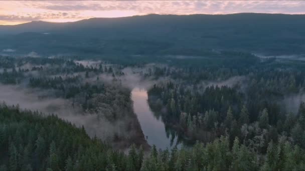 Valle Montagne Alberi Verdi Coperti Nebbia Paesaggio Canadese Natura Sfondo — Video Stock