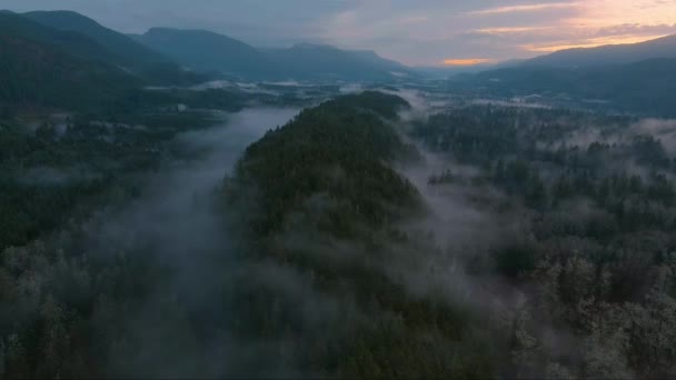 霧に覆われた山と緑の木の谷 カナダの風景自然空中背景 バンクーバー島 ブリティッシュコロンビア カナダ — ストック動画