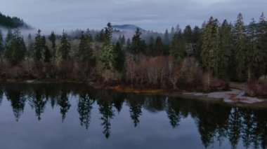 Çevresi dağlarla, ağaçlarla çevrili Manzaralı Vadi ve Göl. Sisli Sabah. Kanada Vahşi Doğası Hava Arkaplanı. Vancouver Adası, BC, Kanada.