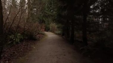 Manzaralı Yürüyüş Yolu, Ağaçlar ve Yapraklar. Kış mevsimi, Bulutlu Gün. Burnaby, Vancouver, British Columbia Kanada.