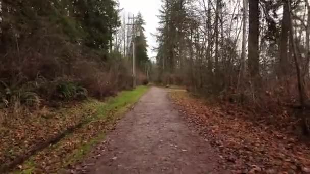 Scenic Walking Trail Bomen Bladeren Winterseizoen Bewolkte Dag Burnaby Vancouver — Stockvideo