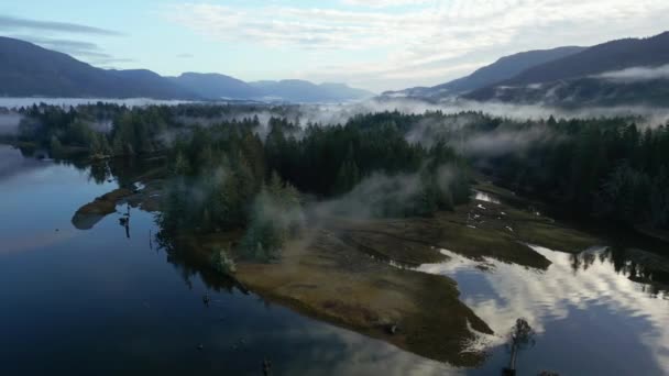 Rio Árvores Valley Mountains Paisagem Canadense Natureza Fundo Aéreo Vancouver — Vídeo de Stock