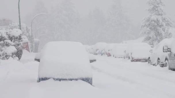 Pokryte Śniegiem Samochody Drogi Domy Dzielnica Podmiejska Zimny Dzień Śnieg — Wideo stockowe