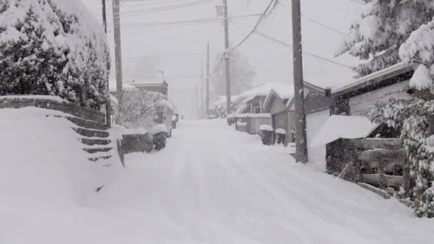 Snow Covered Alley Buitenwijk Koude Dag Snoeien Winter Seizoen Winter — Stockvideo