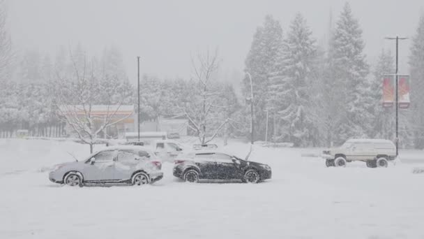バンクーバーのバーナビー カナダ 2024年1月17日 重雪の嵐で雪に覆われた駐車場に駐車する車 — ストック動画