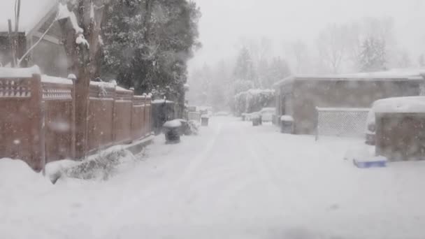 Pokryta Śniegiem Alejka Przedmieściach Zimny Dzień Śnieg Sezon Zimowy Kraina — Wideo stockowe