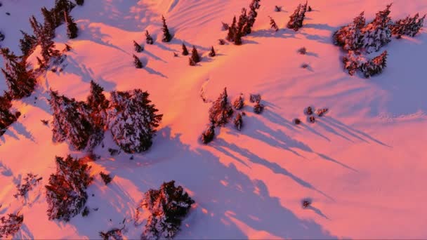 Snöiga Träd Och Berg Scen Rosa Solnedgång Färgglada Vinterlandskap Flygfilmare — Stockvideo