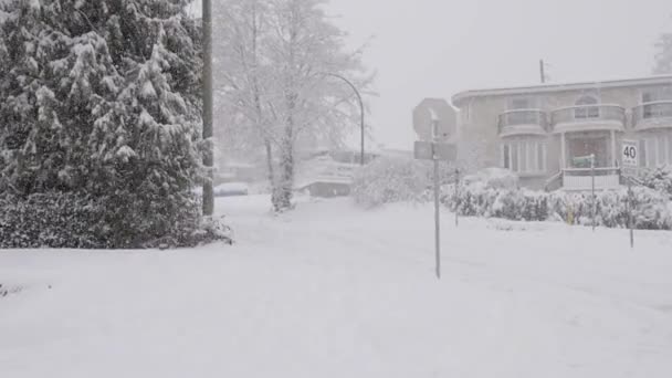 Snow Covered Road Houses Suburban Neighborhood Inglês Cold Day Snowing — Vídeo de Stock