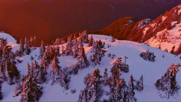 Árboles Nevados Escena Montañosa Puesta Sol Rosa Paisaje Colorido Invierno — Vídeo de stock