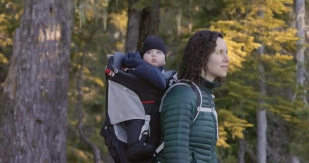 バックパックキャリアの愛らしい赤ん坊の男の子とハイキング 周りを見回して 冬のシーズン サンセット ブリティッシュ コロンビア カナダ — ストック動画