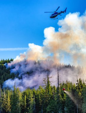 Helikopter yeşil ormandaki orman yangınlarıyla mücadele ediyor. Vancouver Adası, BC, Kanada. Sıcak Yaz Sezonu.