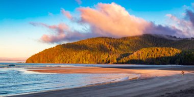 Pasifik Okyanusu 'nun batı kıyısındaki Kanada Doğa Manzarası. Sandy Sahili. Arka plan Panoraması. San Josef Körfezi, Vancouver Adası, BC, Kanada.