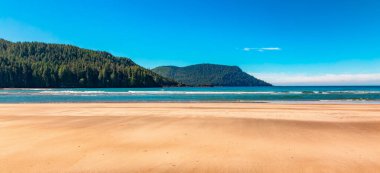 Pasifik Okyanusu 'nun batı kıyısındaki Kanada Doğa Manzarası. Sandy Sahili. Arka plan Panoraması. San Josef Körfezi, Vancouver Adası, BC, Kanada.