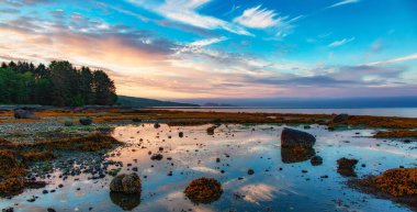 Dramatik Günbatımı sırasında Pasifik Okyanusu 'nun batı kıyısındaki Rocky Shore. Port Hardy, Vancouver Adası, BC, Kanada. Doğa Arkaplanı
