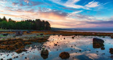 Dramatik Günbatımı sırasında Pasifik Okyanusu 'nun batı kıyısındaki Rocky Shore. Port Hardy, Vancouver Adası, BC, Kanada. Doğa Arkaplanı