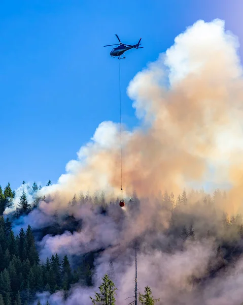 Helicopter fighting forest fires in the green forest. Vancouver Island, BC, Canada. Hot Summer Season.