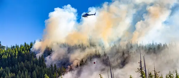 stock image Helicopter fighting forest fires in the green forest. Vancouver Island, BC, Canada. Hot Summer Season.