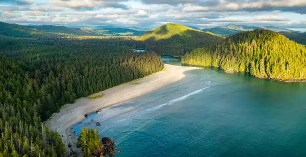 Sandy Shore Pacific Ocean West Coast Sunny Day Vancouver Island — Stock Photo, Image