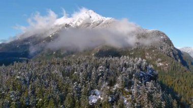Kanada Doğa Alanı 'ndaki Karlı Dağlar ve Ağaçlar. Kış mevsimi, güneşli gün. Hava Görüntüleme Arkaplanı. BC, Kanada.