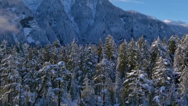 Snöiga Berg Och Träd Kanadensiska Naturlandskap Vintersäsong Solig Dag Flygfoto — Stockvideo