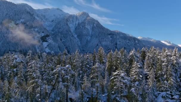 Snöiga Berg Och Träd Kanadensiska Naturlandskap Vintersäsong Solig Dag Flygfoto — Stockvideo