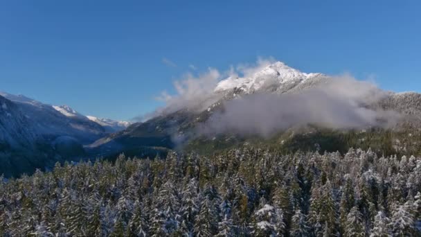 Schneebedeckte Berge Und Bäume Der Kanadischen Naturlandschaft Winterzeit Sonniger Tag — Stockvideo