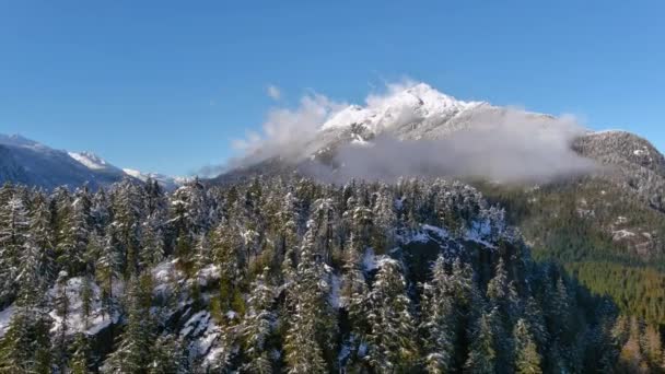 Montañas Nevadas Árboles Paisaje Natural Canadiense Temporada Invierno Día Soleado — Vídeo de stock