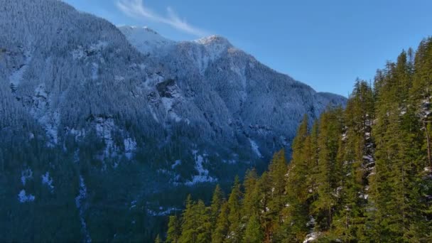 Evergreen Bomen Met Snowy Mountain Landschap Canadese Natuur Luchtfoto Natuur — Stockvideo