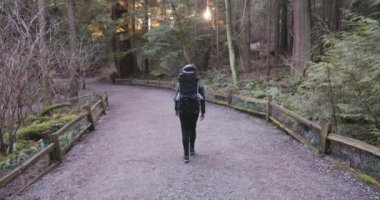 Anne ve Bebek Sırt çantalı Çocuk doğa yolunda yürüyor. Güneşli gün batımı. Fener Parkı, Batı Vancouver, BC, Kanada.