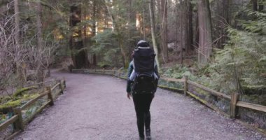 Anne ve Bebek Sırt çantalı Çocuk doğa yolunda yürüyor. Güneşli gün batımı. Fener Parkı, Batı Vancouver, BC, Kanada.