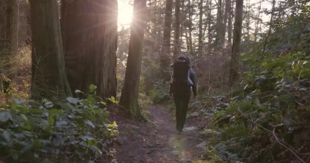森でハイキングするバックパックキャリアの母と赤ちゃんの少年 サニーサンセット ライトハウスパーク ウェストバンクーバー カナダ — ストック動画