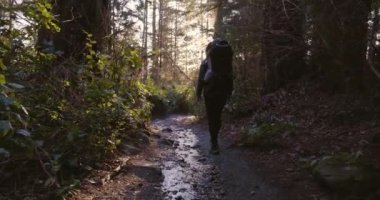 Anne ve Bebek Çocuk sırt çantasıyla ormanda yürüyüş yapıyor. Güneşli gün batımı. Fener Parkı, Batı Vancouver, BC, Kanada.