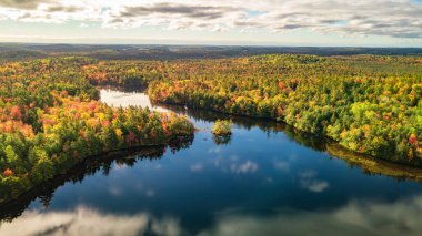 Canlı ağaçlar ve göl manzarası. Nova Scotia, Kanada.