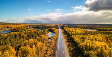 Highway Road, canlı sonbahar renk ağaçlarının orada. Güneşli Gökyüzü Manzarası. Newfoundland, Kanada.