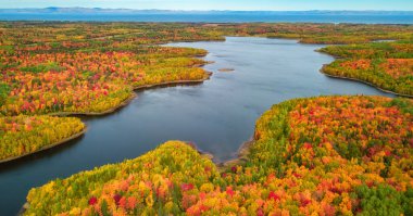 Atlantik Okyanusu 'nun doğu kıyısında canlı ağaçlar ve manzara. Quebec, Kanada.