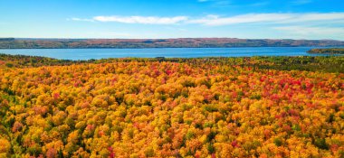 Atlantik Okyanusu 'nun doğu kıyısında canlı ağaçlar ve manzara. Quebec, Kanada.