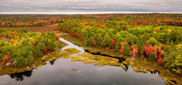 Vibrant Trees Landscape Lake Nova Scotia Canada — Stock Photo, Image