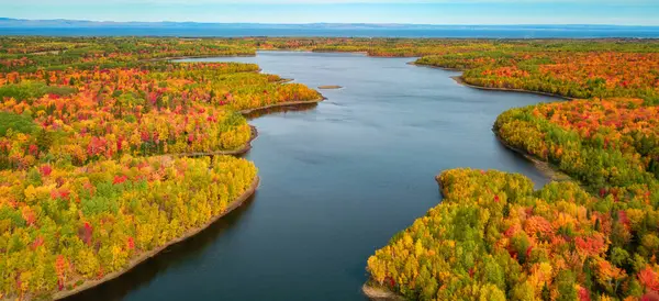 Levendige Bomen Landschap Aan Oostkust Van Atlantische Oceaan Quebec Canada — Stockfoto