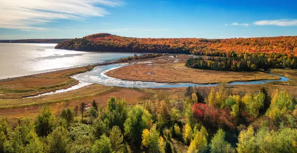 Lebendige Bäume Und Landschaft Der Ostküste Des Atlantiks Quebec Kanada — Stockfoto