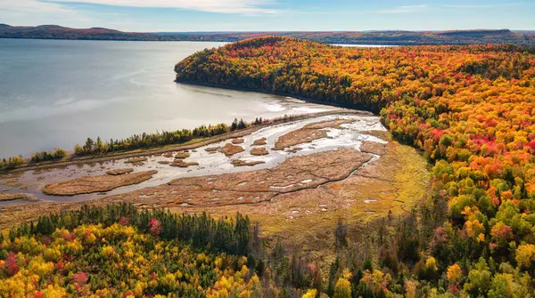 Levendige Bomen Landschap Aan Oostkust Van Atlantische Oceaan Quebec Canada — Stockfoto