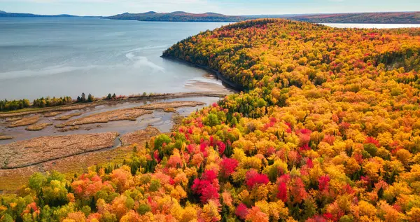 大西洋の東海岸にある活気のある木々と風景 カナダケベック州 — ストック写真