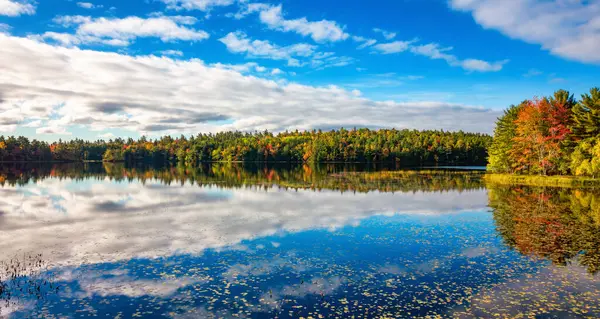 Vibrant Trees Landscape Lake Nova Scotia Canada Stock Picture