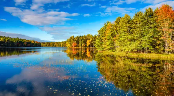 Vibrant Trees Landscape Lake Nova Scotia Canada Stock Picture