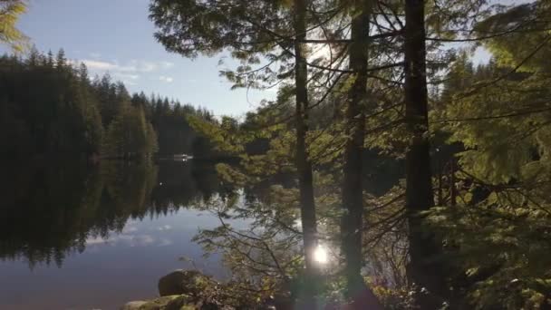 Scenic Lake Trees Sunny Spring Day Agua Calma Cielo Azul — Vídeo de stock