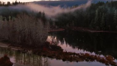 Sis kaplı ağaçlar vadinin kıyısında dağlarla kaplı. Kanada Doğa Manzarası. Hava görüntüsü, arka plan. Vancouver Adası, BC Kanada.