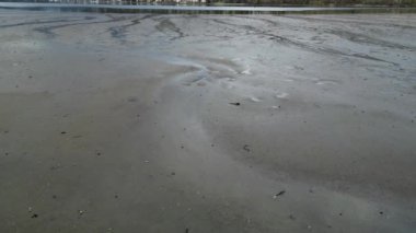 Pasifik Okyanusu kıyısında çamurlu bir sahil. Hava Doğası Arkaplanı.