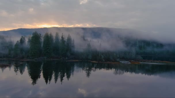 Dimtäckta Träd Vid Sjön Dalen Vid Bergen Kanadensiskt Naturlandskap Flygfoto — Stockvideo