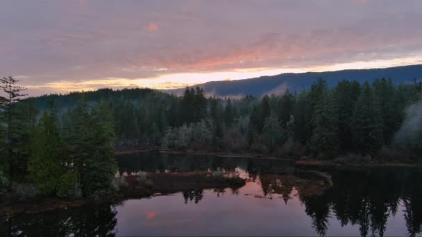 山谷边的湖畔有雾遮蔽的树 加拿大自然景观 空中景观 不列颠哥伦比亚省温哥华岛 — 图库视频影像