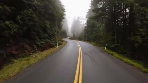 Autopista Escénica Rodeada Árboles Niebla Nublado Port Renfrew Columbia Británica — Vídeos de Stock