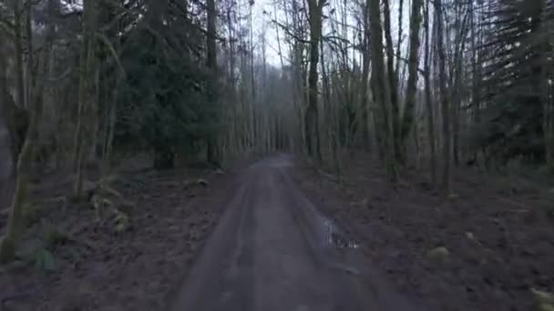 Dirt Road Squamish Valley Rodeado Por Árvores Forest Backroad Squamish — Vídeo de Stock
